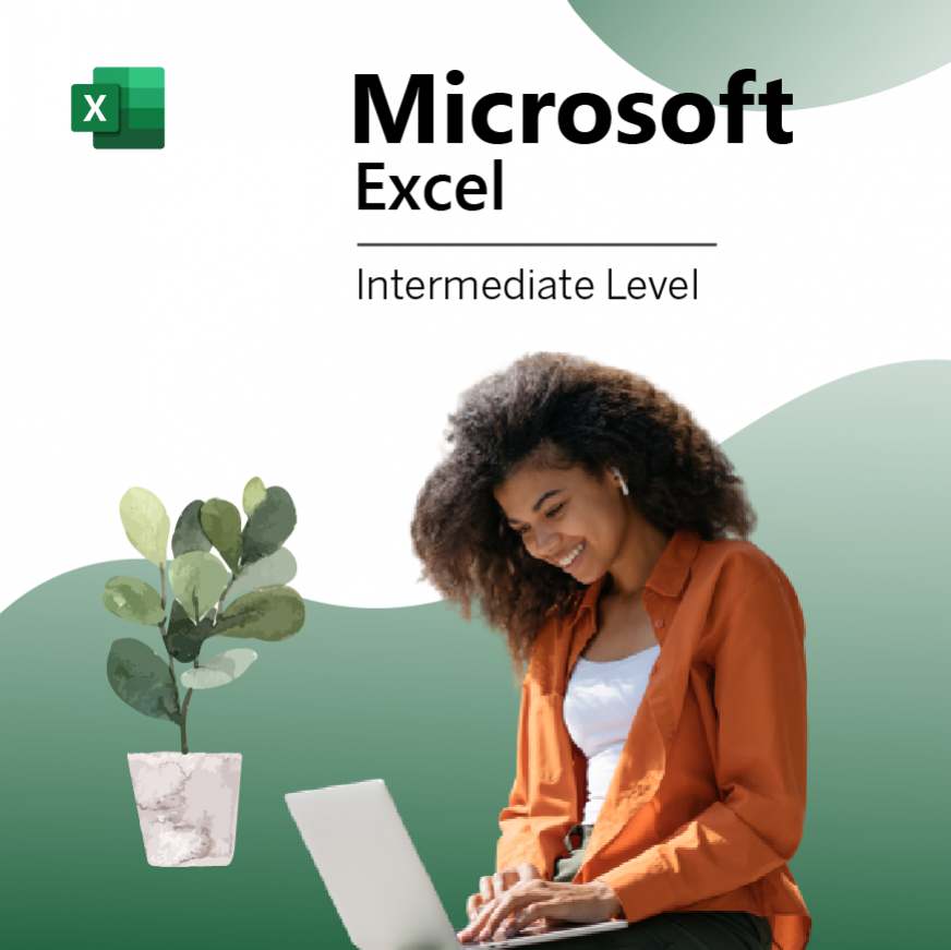 Microsoft Excel (Intermediate)